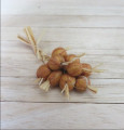 String of onions