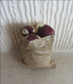 Brown paper bag of turnips