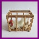 Animals, birds & pets