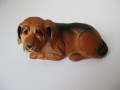 Lying dog