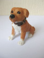 Sitting dog