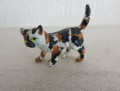 Tortoiseshall cat
