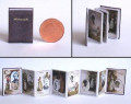 Fold out Victorian photo album