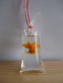 Goldfish in a bag