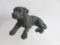 Lying black labrador