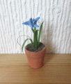 Small potted plant