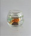 Goldfish bowl 