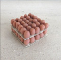 Egg trays by Delph Miniatures