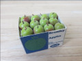 Box of Bramley apples by Delph