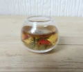 Goldfish in bowl