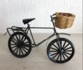 Bike with C& D made basket