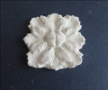 Square ceiling rose