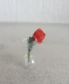 1/24 Glass vase with flower
