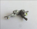 Small lying cat light grey