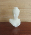 Bust of Marguerite le Comte