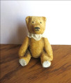 Sitting Teddy