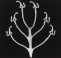 Phoenix coat hooks KIT