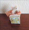 Teddy in a box
