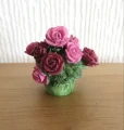 Pot of roses