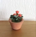 Potted plant