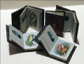 Encyclopedia of fish species 5 books