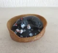 Cati in basket