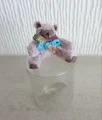 Sitting teddy in box